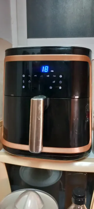 Horno de aire caliente