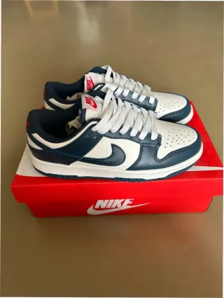 Nike Dunk Low Blanco y Azul Talla 39