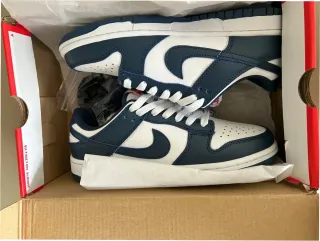 Nike Dunk Low Blanco y Azul Talla 39
