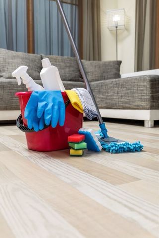 Limpiezas DE LA ROSA