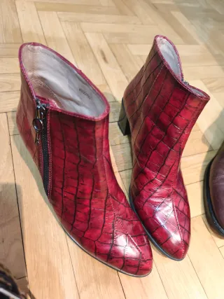 Lote de Zapatos Variados