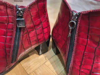 Lote de Zapatos Variados