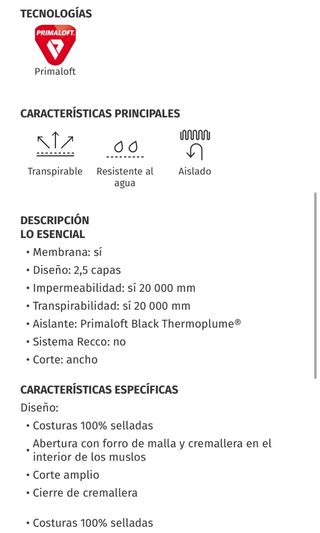 Mono esqui snowboard