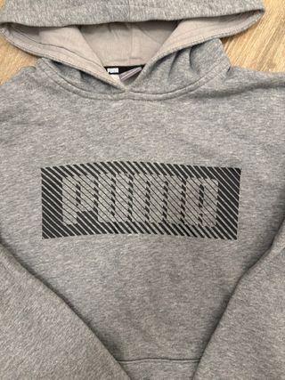 Sudadera Puma Gris