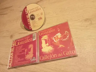 Guitarra Pedro Javier González