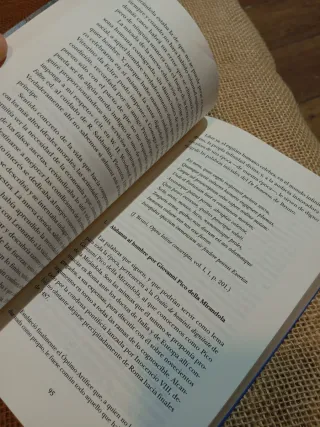 El renacimiento italiano