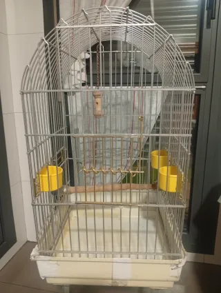 Jaula mediana para loros