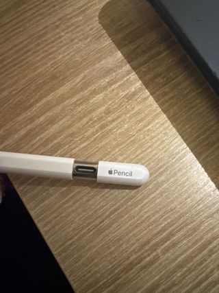 Apple Pencil 1ª Gen