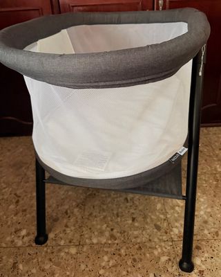 Minicuna Asalvo Nidus Gris