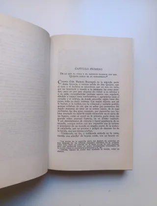 Don Quijote de la Mancha II.