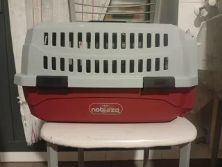 Transportín para loros gris y rojo