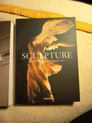 Sculpture from antiquyti to the present day