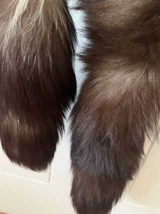 Cuello pelo sintético marrón y beige