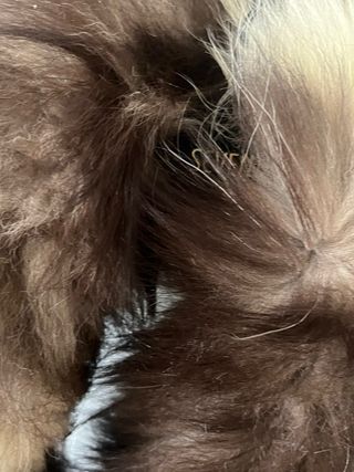 Cuello pelo sintético marrón y beige