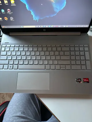 Portátil HP EQ2069NS Plata