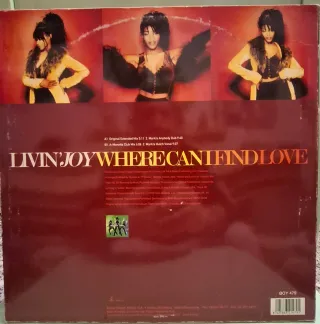 Vinilo Livin' Joy - Where Can I Find Love