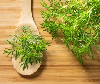 Tagetes Drop Shot Gourmet Edible Anise Marigold