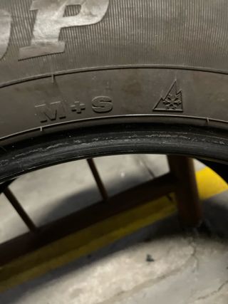 Dunlop SP Winter Sport 3D Neumáticos