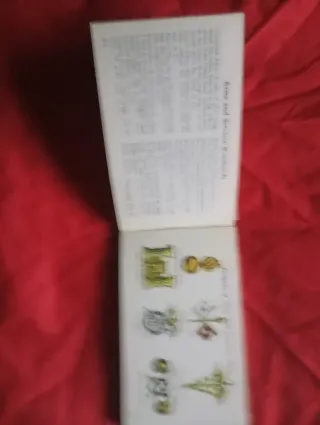 Libro Guía Insignias Ejército U.S.