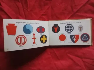 Libro Guía Insignias Ejército U.S.