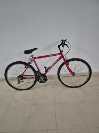 Bicicleta de Montaña Adventure One