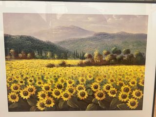 Cuadro Decorativo Campo Girasoles