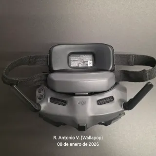 Gafas DJI Goggles 3