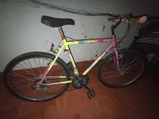 Bicicleta Montaña Esperia 810 Vintage