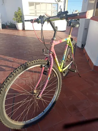 Bicicleta de Montaña Vintage MTB