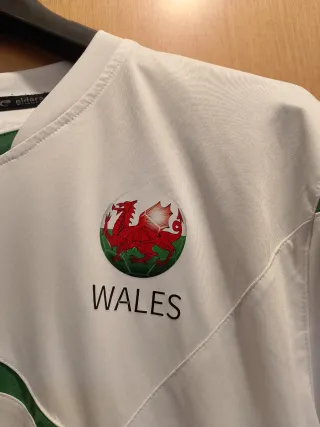 Maglietta calcio Galles n.5