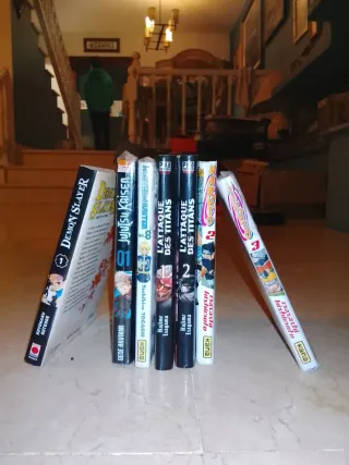 Lots of French great anime books