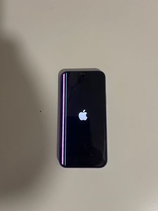 iPhone 12 morado