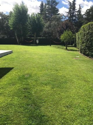 Jardinero profesional