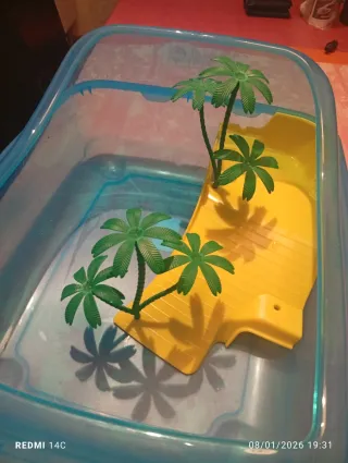 Acuario tortuga con decoración