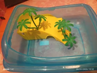 Acuario tortuga con decoración