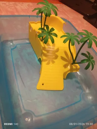 Acuario tortuga con decoración