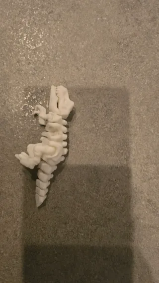 Scheletro Tirannosauro Flexi in vari colori