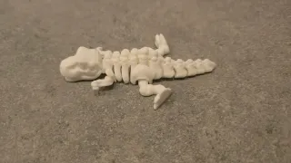 Scheletro Tirannosauro Flexi in vari colori