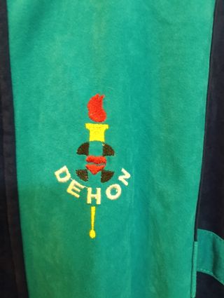 Conjunto chándal azul y verde