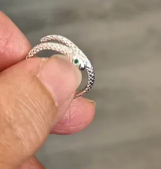 Conjunto Pulsera y Anillo Serpiente