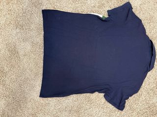 Polo Lacoste Regular Fit Beige y Azul