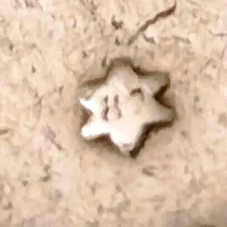 Moneda 5 Pesetas Alfonso XII 1885 SC