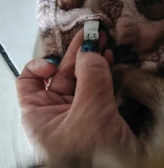 Pigiama Disney Winnie the Pooh 2 pezzi