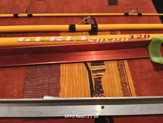 Cañas de surfcasting