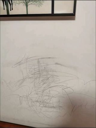 MACRO MAPLE Wall Cleaning 150g