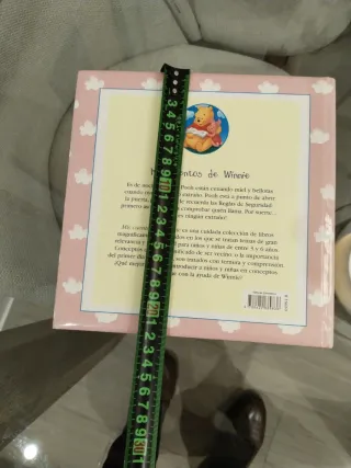 ¡Winnie, no hables con extraños!. Libro infantil