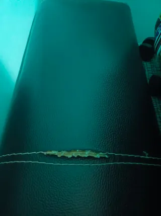 Sofá modular con cabezal reclinable