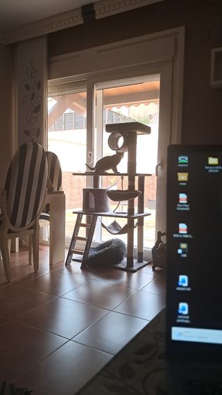 Torre para gatos