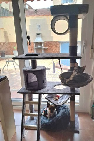 Torre para gatos