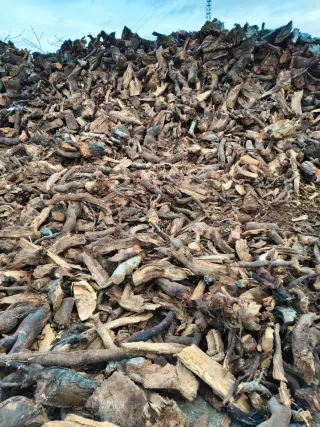 Leña de almendro seca para chimenea y estufa